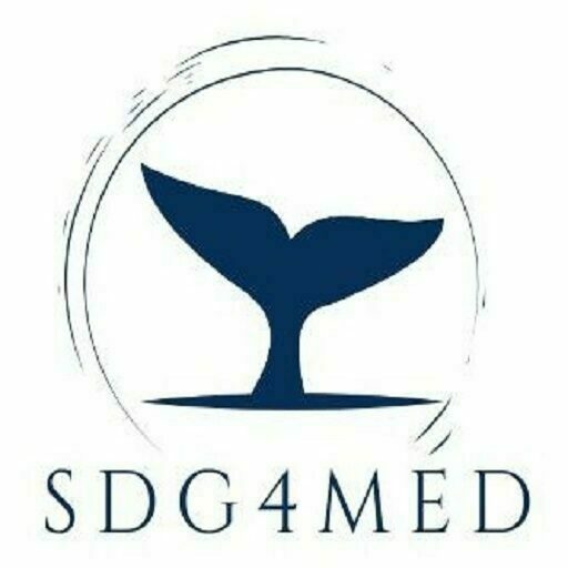 SDG4MED